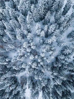 4k Ipad Winter Season