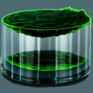 Algae in Water Tank PNG hgv