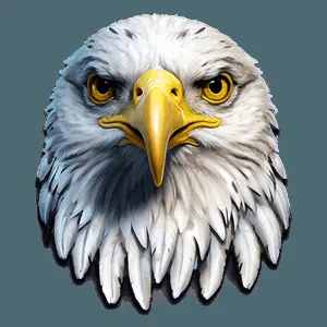 American Eagle Digital Art PNG idy72