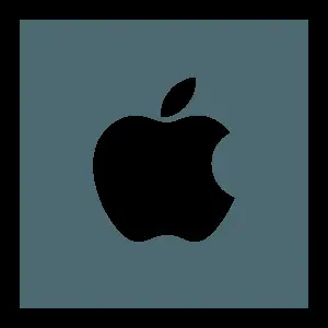 Apple Logo Icon Simple Design