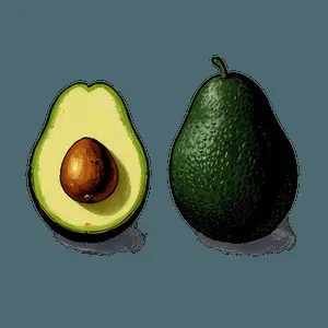 Avocado Illustration PNG nyy11