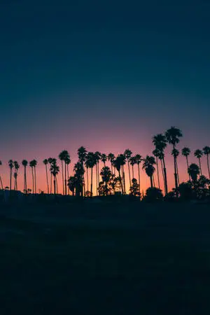 "Breathtaking Sunset Over Tranquil Waters"