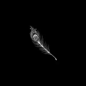 White Peacock Feather Dark iPad