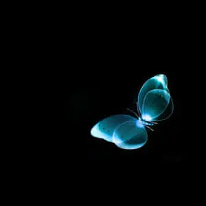 Glowing Blue Butterfly Dark iPad