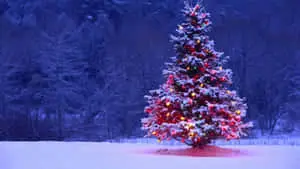 a christmas tree in the snow with lights on it