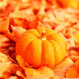 Fall iPad Pumpkin On Leaves