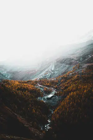 "Take in the beautiful fall foliage while admiring the majestic mountain"