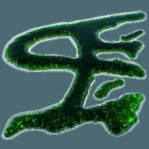 Floating Algae on Water PNG 06212024