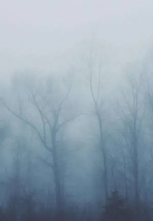 Foggy Forest iPad 2021