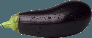 Fresh Eggplantwith Water Droplets