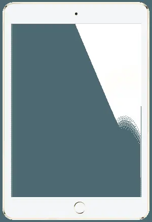 Goldi Pad Transparent Background