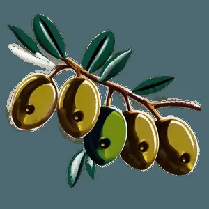 Olive Branch Illustration PNG oka