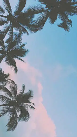 Pastel iPad Palm Tree Silhouettes