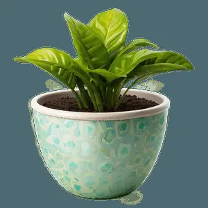 Waterwise Houseplant PNG 06202024