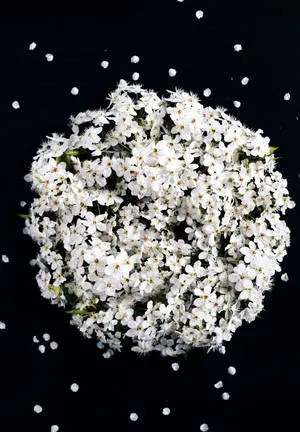 White Flower Bouquet iPad 2021