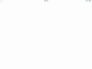 White Full Screen iPad